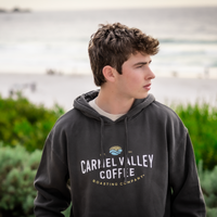 Icon Logo Hoodie