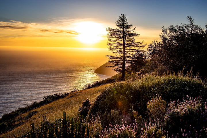 A Perfect, Low-Key, Casual Day in Carmel & Big Sur with CVCRC