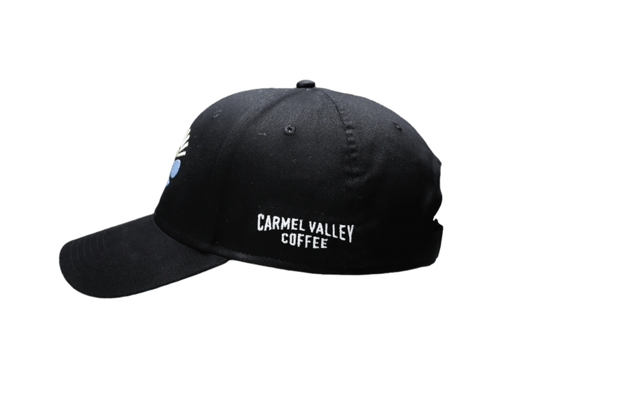 Black Icon Baseball Cap