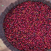 Ethiopia, Guji 4 Natural