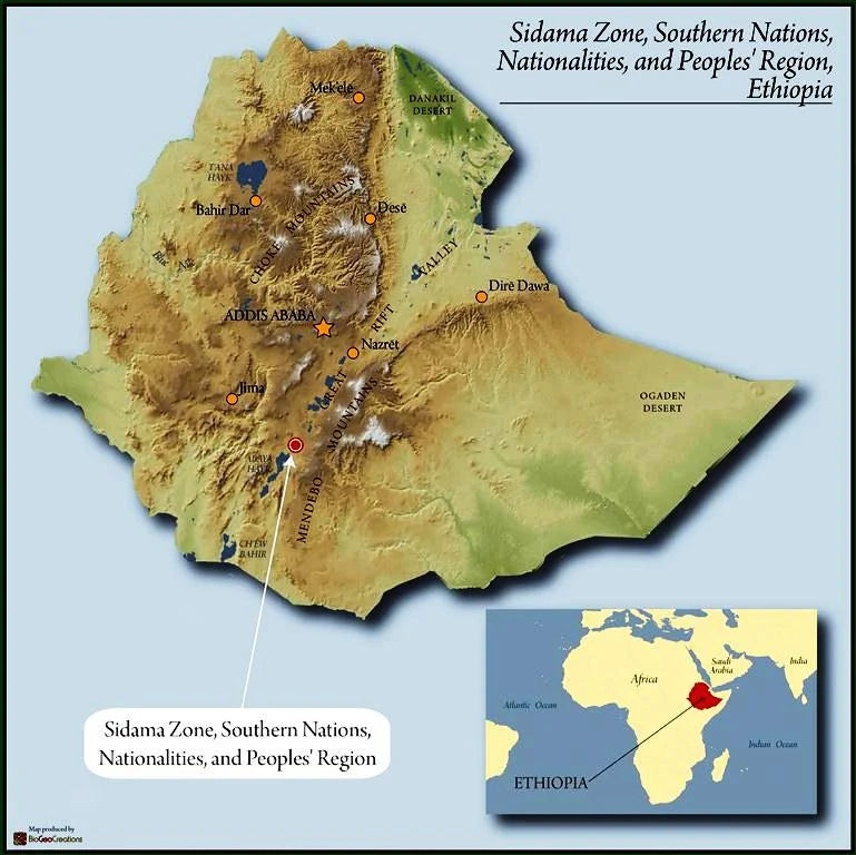 Ethiopia FTO Sidama Mokonissa