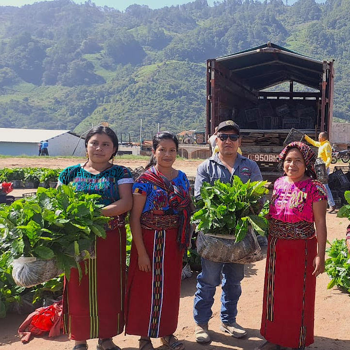 ASOBAGRI Manos De Mujer, FTO