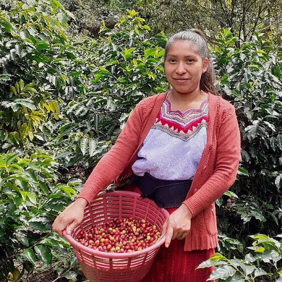 ASOBAGRI Manos De Mujer, FTO