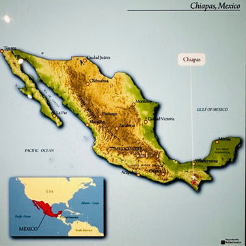 Mexico, Chiapas GRAPOS