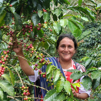 Peru, Cafe de Mujer (APROCCURMA)