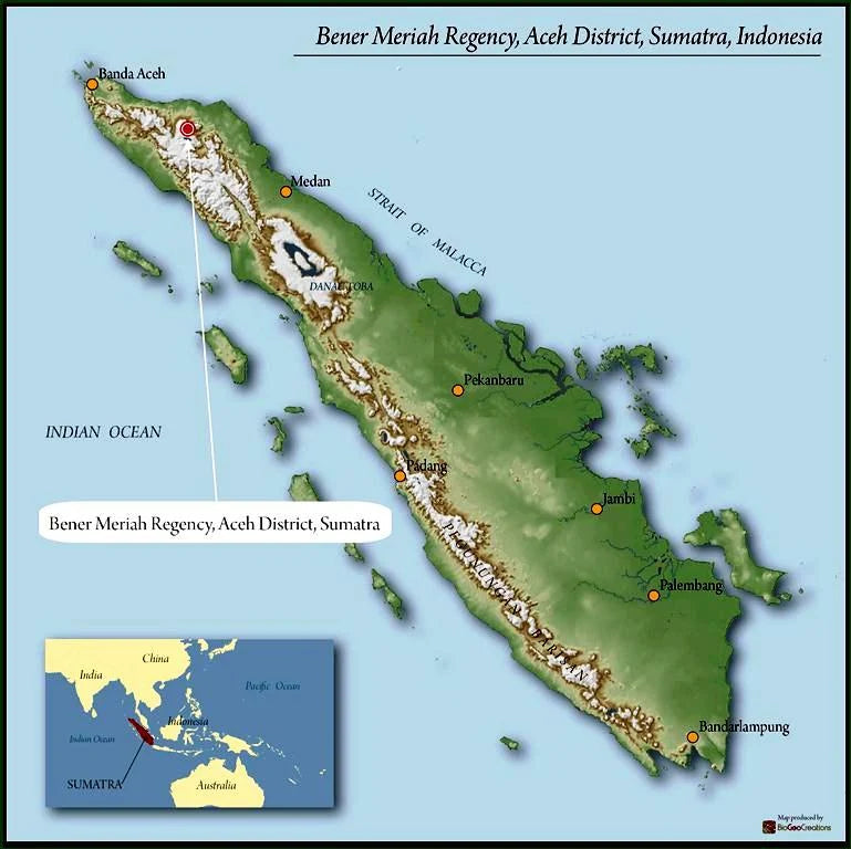 Sumatra FTO Permata Gayo