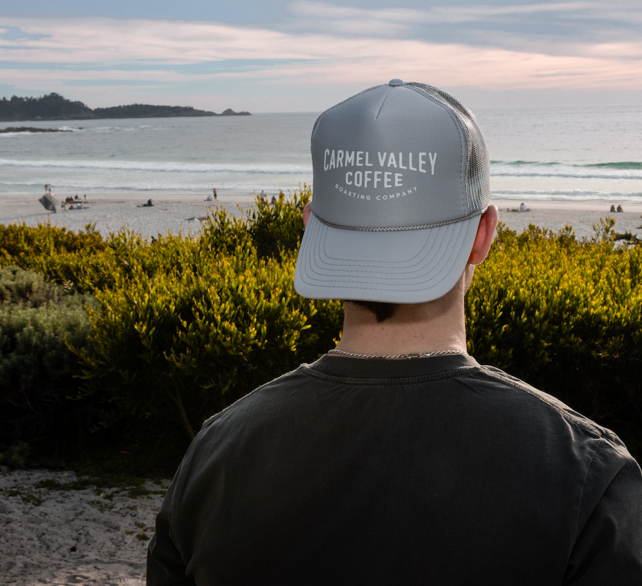 Gray Trucker Hat